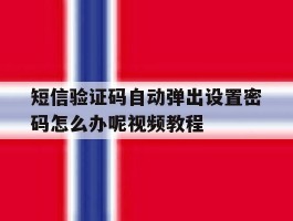 关于短信验证码自动弹出设置密码怎么办呢视频教程的信息