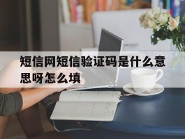 短信网短信验证码是什么意思呀怎么填