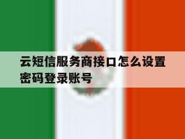关于云短信服务商接口怎么设置密码登录账号的信息