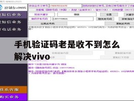 关于手机验证码老是收不到怎么解决vivo的信息
