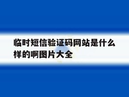 临时短信验证码网站是什么样的啊图片大全