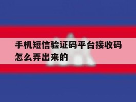 手机短信验证码平台接收码怎么弄出来的