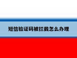 短信验证码被拦截怎么办理