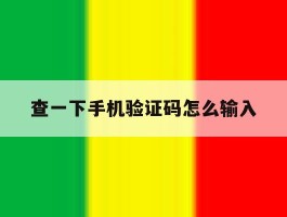 查一下手机验证码怎么输入