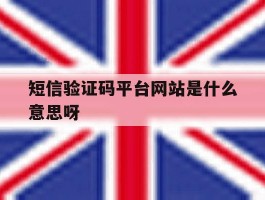 短信验证码平台网站是什么意思呀