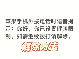 临时短信号码怎么设置的苹果手机不能用了