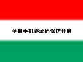 苹果手机验证码保护开启