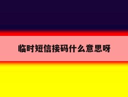 临时短信接码什么意思呀
