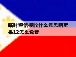 临时短信接收什么意思啊苹果12怎么设置