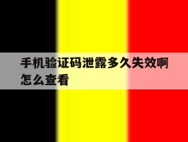 手机验证码泄露多久失效啊怎么查看