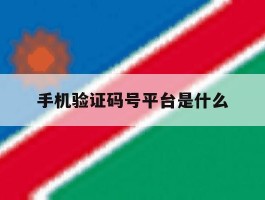 手机验证码号平台是什么
