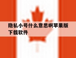 关于隐私小号什么意思啊苹果版下载软件的信息