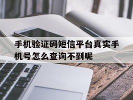 手机验证码短信平台真实手机号怎么查询不到呢的简单介绍