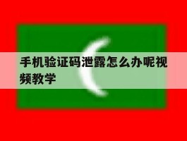 手机验证码泄露怎么办呢视频教学