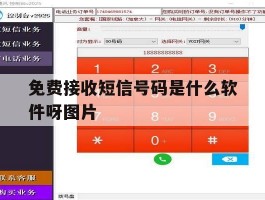 免费接收短信号码是什么软件呀图片