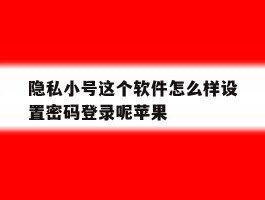隐私小号这个软件怎么样设置密码登录呢苹果