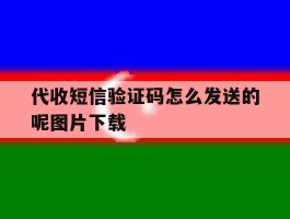 代收短信验证码怎么发送的呢图片下载