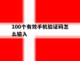 100个有效手机验证码怎么输入