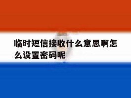 关于临时短信接收什么意思啊怎么设置密码呢的信息