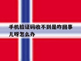 手机验证码收不到是咋回事儿呀怎么办