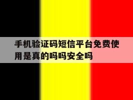 包含手机验证码短信平台免费使用是真的吗吗安全吗的词条