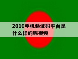 2016手机验证码平台是什么样的呢视频