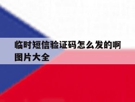 临时短信验证码怎么发的啊图片大全