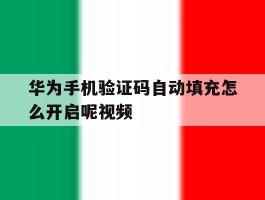华为手机验证码自动填充怎么开启呢视频