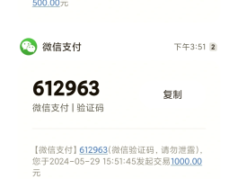 100个有效手机验证码是多少