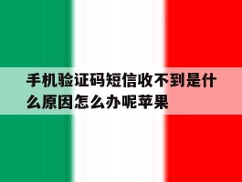 包含手机验证码短信收不到是什么原因怎么办呢苹果的词条