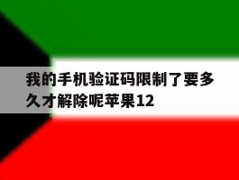 关于我的手机验证码限制了要多久才解除呢苹果12的信息