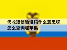 代收短信验证码什么意思呀怎么查询呢苹果