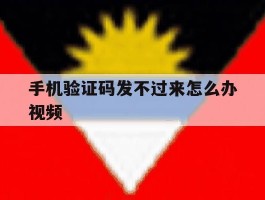 手机验证码发不过来怎么办视频