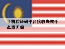手机验证码平台接收失败什么原因呢