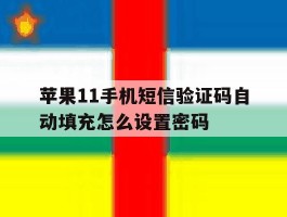 苹果11手机短信验证码自动填充怎么设置密码