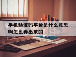 手机验证码平台是什么意思啊怎么弄出来的