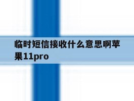 包含临时短信接收什么意思啊苹果11pro的词条