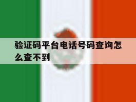 验证码平台电话号码查询怎么查不到