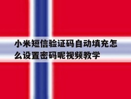 小米短信验证码自动填充怎么设置密码呢视频教学的简单介绍